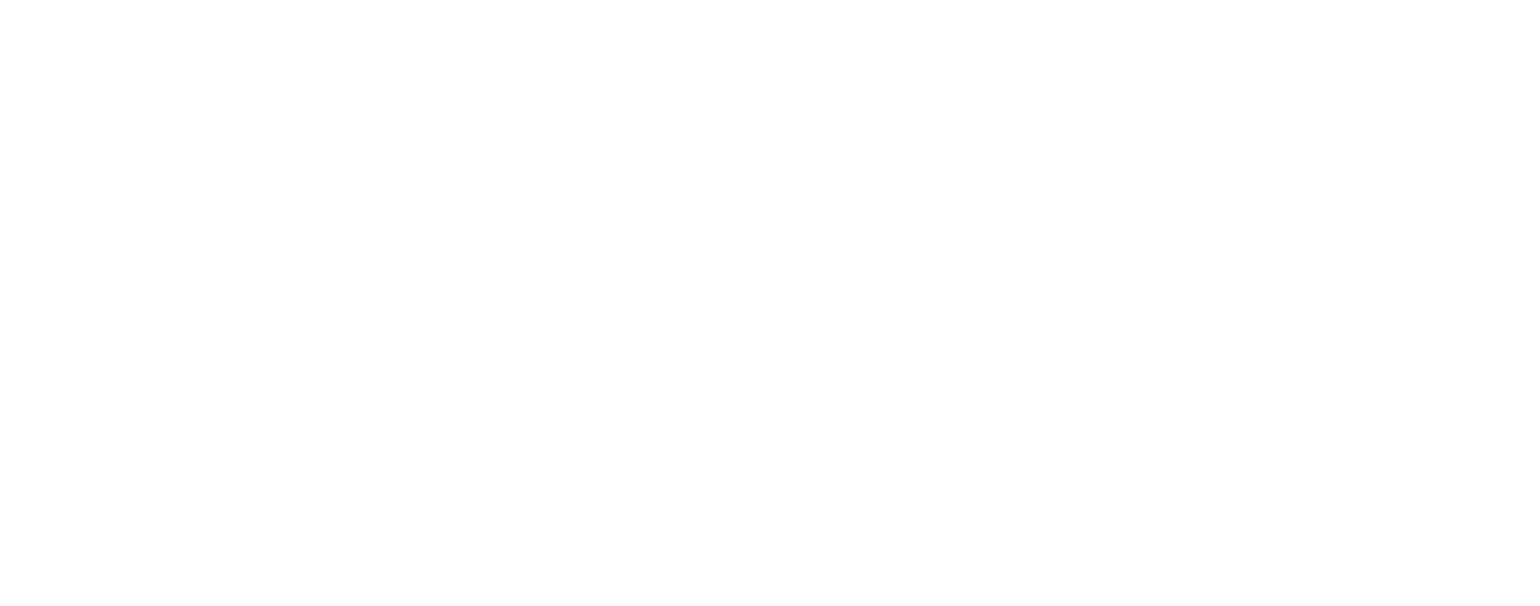 Ergo-Pro Loupes - Q-Optics